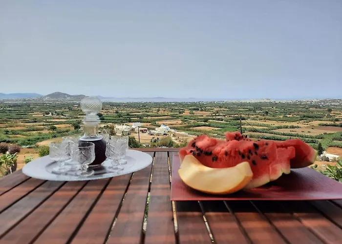 Apartamento Janakos View With Private Pool Glinado Naxos