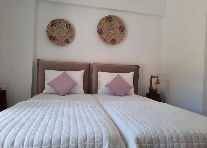 Janakos View With Private Pool Apartment